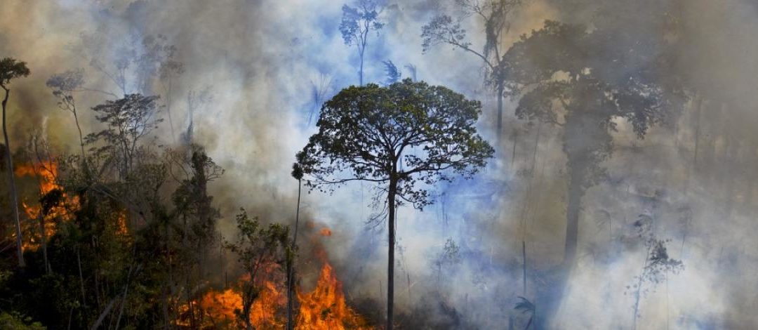Droit à l’information: RSF et plus de 60 journalistes spécialistes de l’environnement alertent la COP26